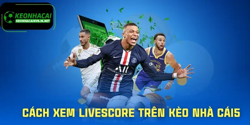 livescore-cach-xem